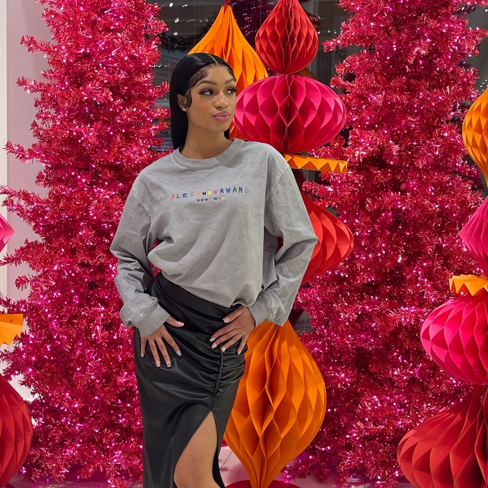 Distressed gray Alexander wang multi color long sleeve top